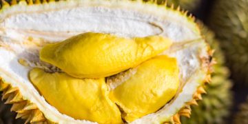 Malaysia bets on durian as China goes bananas for world’s smelliest fruit