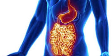 New study links junk food with Crohn’s disease