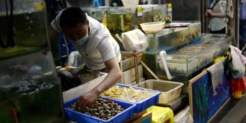 Coronavirus found on Ecuador shrimps in China, state media says