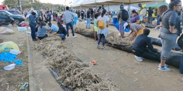 Anxious Mauritians use hair to stem Japanese ship’s oil spill