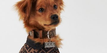 Fendi releases travel accessories for four-legged friends