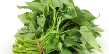 Georgia Dept of Agriculture lifted bans on sale of beloved Asian water spinach