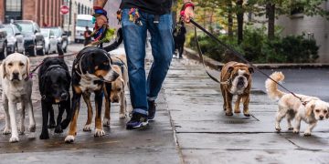 Study confirms dogs, indeed, make neighborhoods safer
