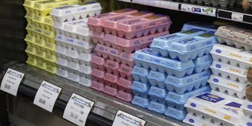 Soaring egg prices prompt demands for price-gouging probe