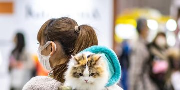 Japanese app detects cat pain with more than 90% accuracy