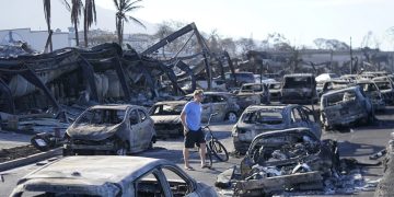 Survivors of Maui fires face power cuts and poor cell service as teams work to find and ID the dead