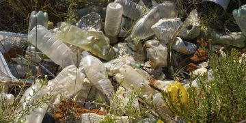 Study raises questions about plastic pollution’s effect on heart health