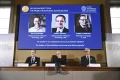 Nobel economics prize is awarded for research into how poor institutions affect countries’ success