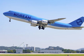 South Korea sends plane to US to bring back workers detained in immigration raid