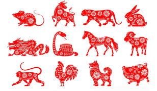 Year of the Horse 2026 Horoscope by Zodiac Sign