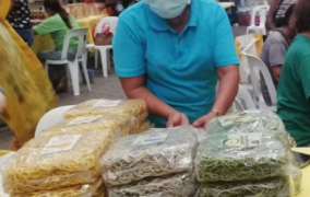 Farmers in Philippines’ Antique region produce noodles out of local herbs and vegetables
